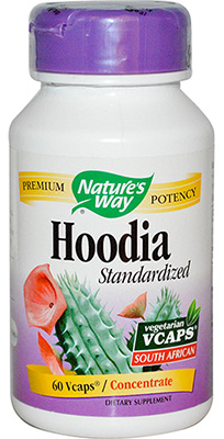 Hoodia to buy